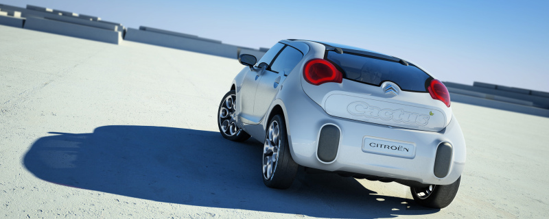 C-Cactus